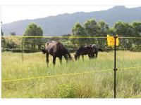 ELECTRIC WIRE FENCE