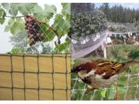 Stretched Plastic Mesh With Weight Ranges From 8 To 80 Gram Per Square Meter