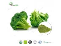 Benefits of Broccoli Powder
