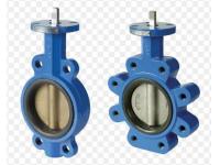 Wafer vs Lug Type Type Butterfly Valve?