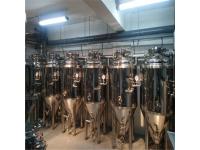 How to choose the right Brewhouse size for you?