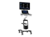 Clinical Value of Handheld Ultrasound in the Philippines