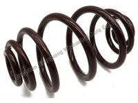 Types of Coil Springs: Extension and Compression Springs