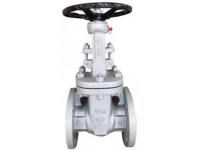 The Advantages and Disadvantages of Gate Valves