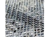 Do You Leave on the Wire Mesh When You Plant a Tree?