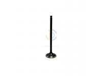 Toyota Engine Valves