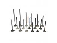 All Kinds Of High Quality Engine Valves