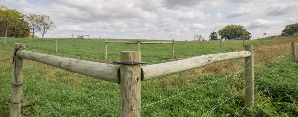 strain line fence