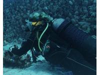 The Benefits of Custom Wetsuits