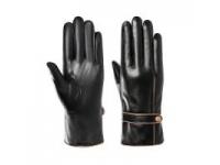 How to Choose the Best Motorbike Gloves?
