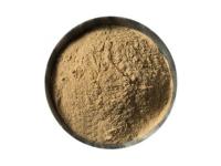 What does a nitrifying bacteria do?