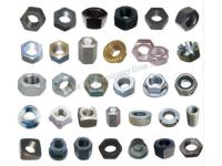 What Are The Types of Nuts?