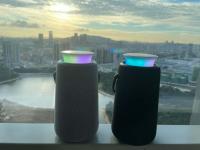 Should I Choose a WiFi or Bluetooth Speaker?