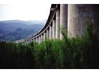 Bearing Arrangement for Curved Bridges