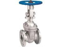 Gate Valves vs. Ball Valves