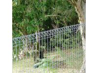 The Benefits of Installing a Roll Top Fence for Your Property