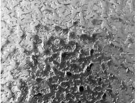 Various Advantages Of The Embossed Aluminum