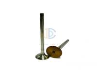 About Car Engine Valves Price
