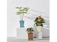 Plastic Flower Pots: The Versatile and Sustainable Gardening Solution