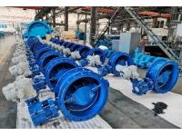 What are some common problems that can occur with butterfly valves?