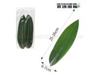 25-27cm in Length Bamboo Leaves Indocalamus Leaves