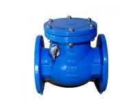 How Do You Size a Check Valve?