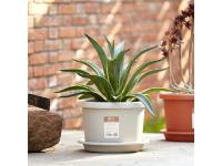 The Benefits of Outdoor Wall Mounted Planters