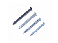 Common Steel Nails