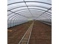What is the difference between single span and multispan greenhouses?