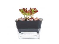 How to Choose the Right Size of Plastic Flower Pot for Different Plant Types?