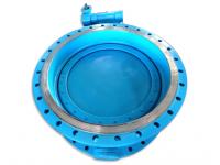 Are there any special maintenance or inspection requirements for butterfly valves?