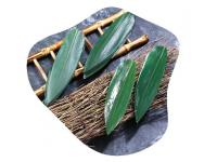 How To Store Bamboo Leaves