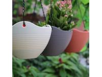 Tips for Maintaining Hanging Flower Pots Indoors