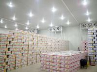 FRUIT AND VEGETABLE COLD ROOMS