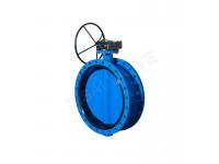 D341X Double Flange Concentric Butterfly Valve