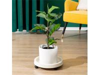 The Secret to Water Damage Prevention with Plastic Plant Saucers