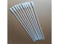 10 FAQ about Oral Swab