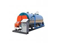 CWNS Gas Boiler