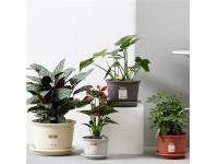 Are plastic flower pots good for plants?