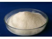 HALS Advancements in Coatings Industry: Navigating Trends (Summary)