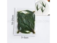 How To Choose Bamboo Leaves For Sushi