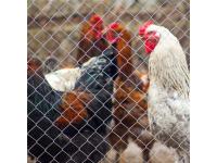 Are Chain Link Fences Easy to Install?