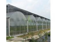 What is the difference between single span and multispan greenhouses?