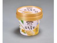 5 Must-Have Features in an Ice Cream Container