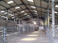 Understanding PPGI (Pre-Painted Galvanized Iron) and Its Applications