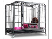 Portable Dog Enclosures