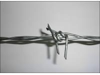 Barbed Wire