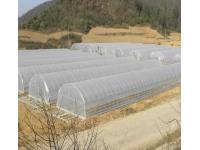 5 Reasons Why Your Business Needs Commercial Greenhouses