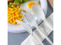 Why Choose Biodegradable Cutlery?