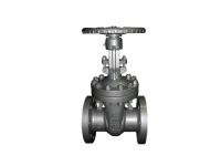 What is the pressure rating for a cast iron gate valve?